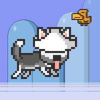 Mr Jump Husky Online Game